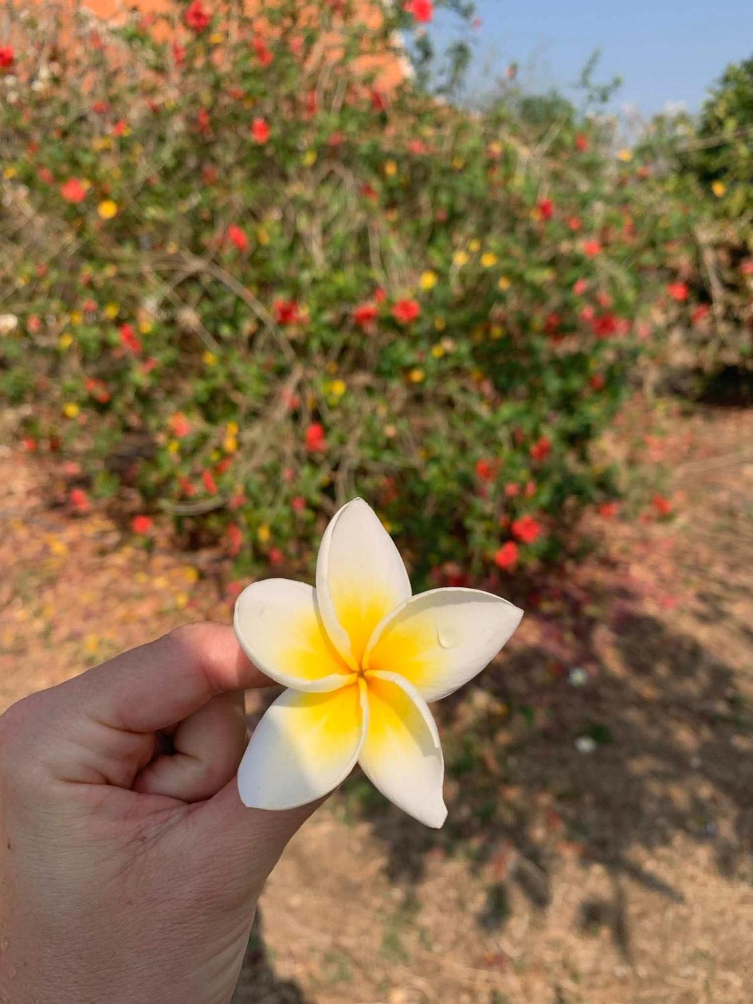 Bloom Garden Bed & Breakfast Siem Reap Eksteriør bilde
