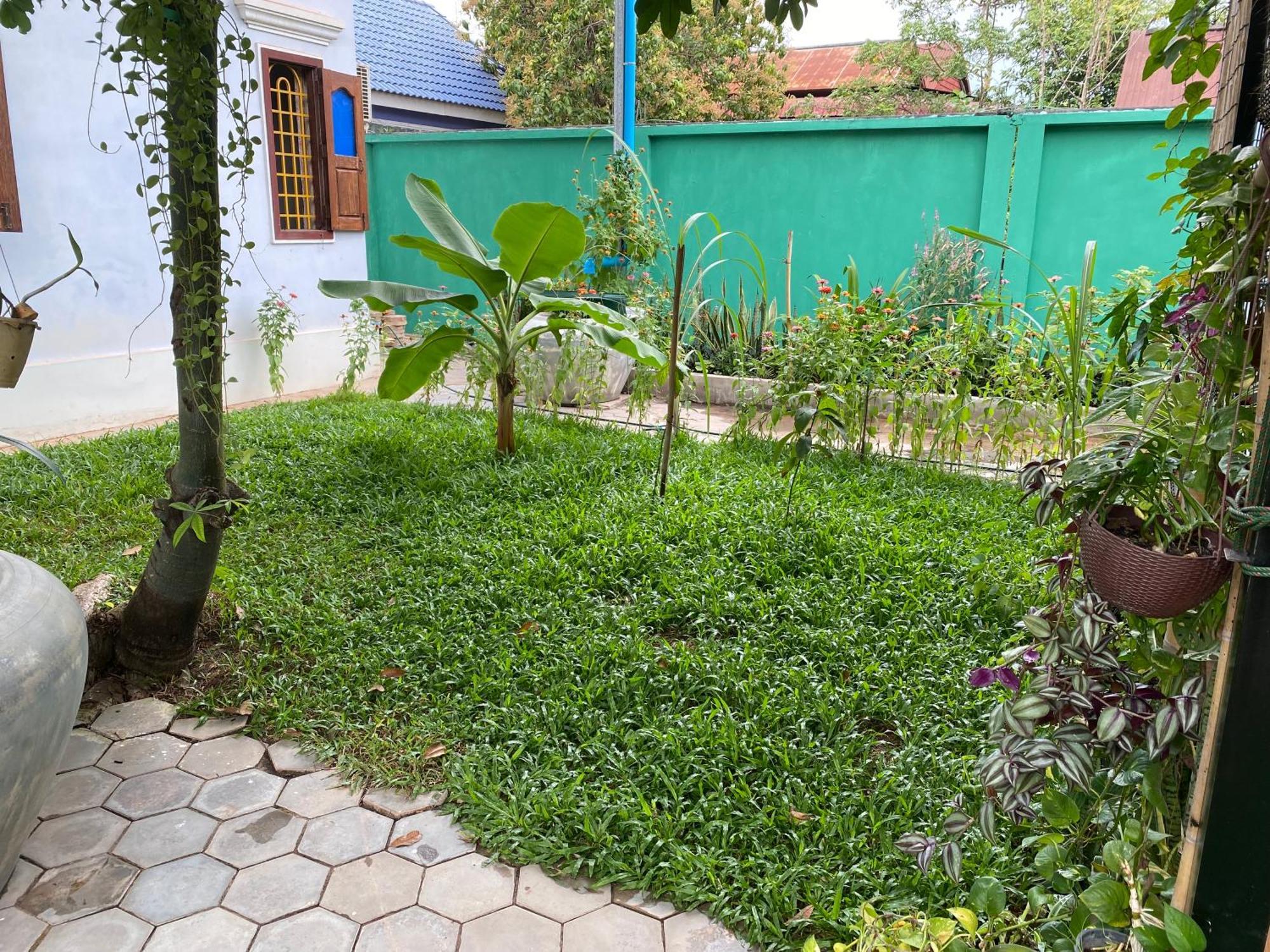 Bloom Garden Bed & Breakfast Siem Reap Eksteriør bilde