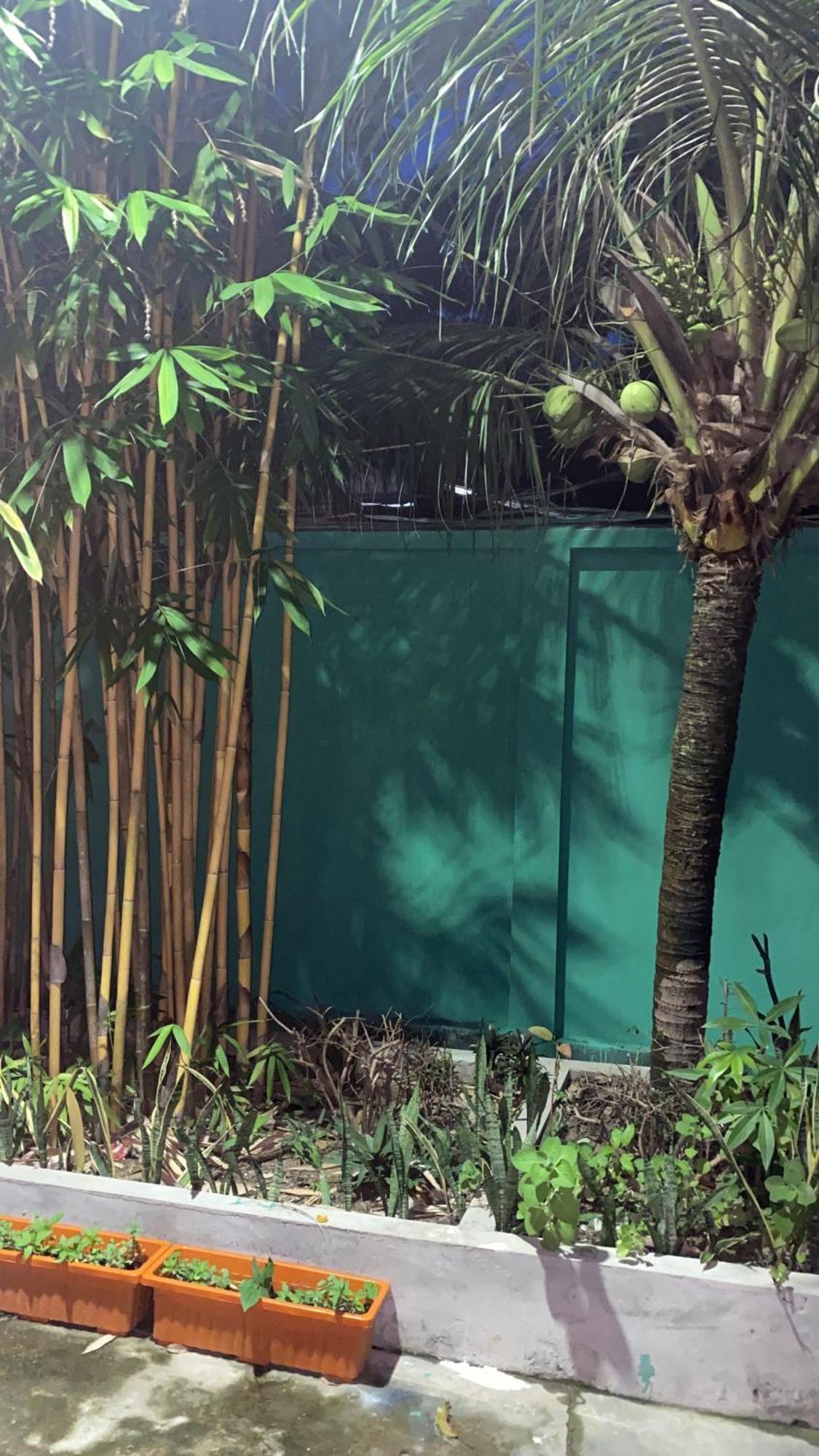Bloom Garden Bed & Breakfast Siem Reap Eksteriør bilde