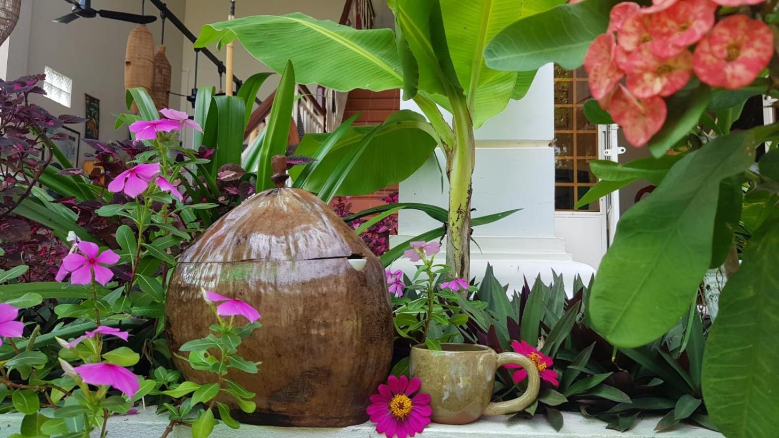 Bloom Garden Bed & Breakfast Siem Reap Eksteriør bilde