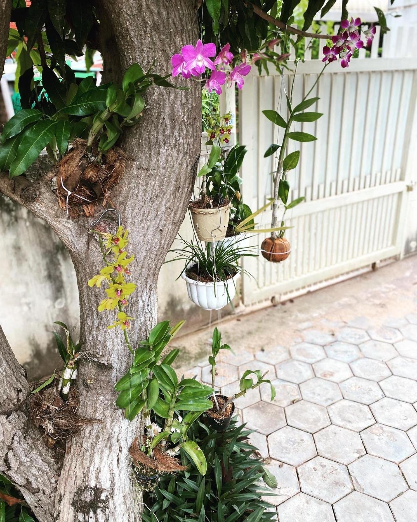 Bloom Garden Bed & Breakfast Siem Reap Eksteriør bilde